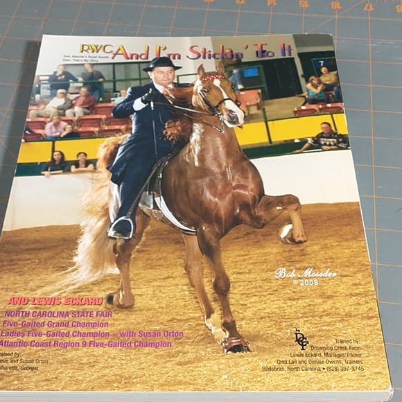 Saddle & Bridle magazine - Picture 2 of 9